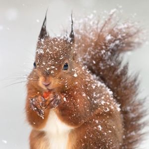 Meet your Posher, Maura